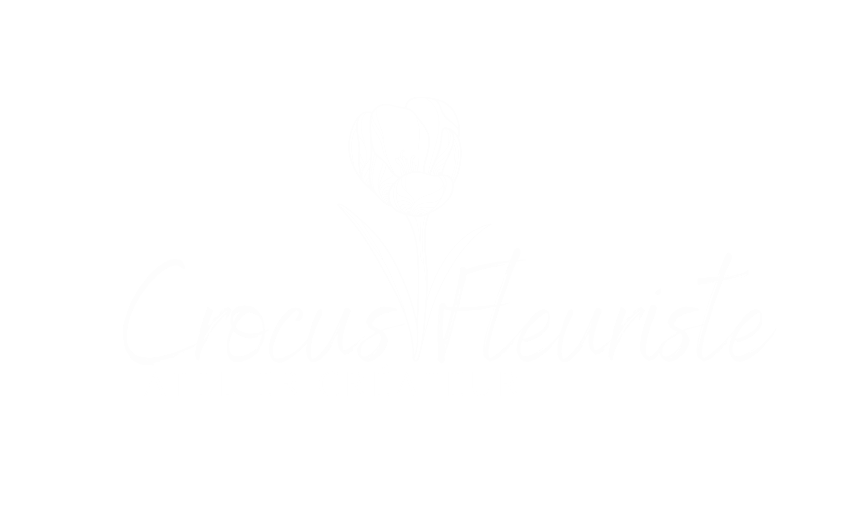 Crocus fleuriste